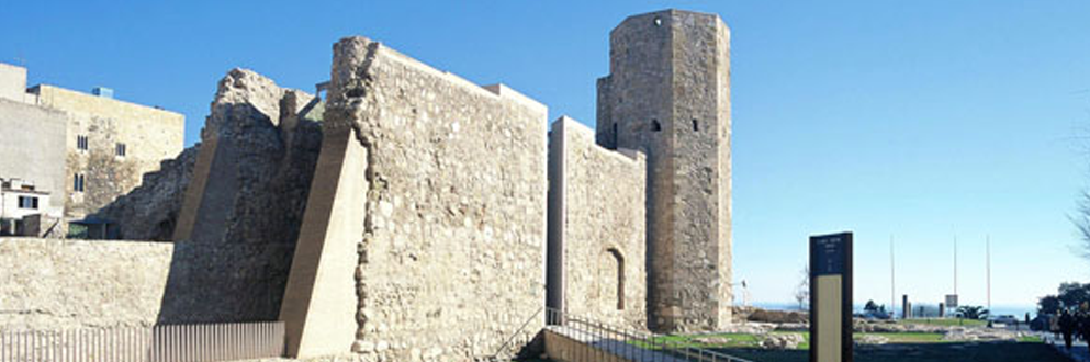 Microscopy at the Frontiers of Science 2013Tarragona, Spain, 17-20th september 2013